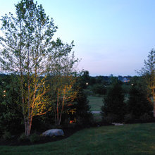tree layout ideas