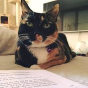 Foto von Cerise Cuo