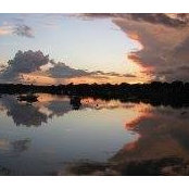 Wendy Hauser's photo