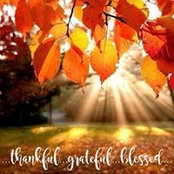 Melissa Patton's photo