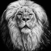 Tomasz Slezak's photo