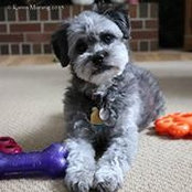 Karen Morang's photo
