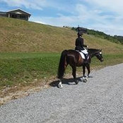Sharon Hummel-Kramer's photo