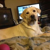 Jackie Snyder's photo