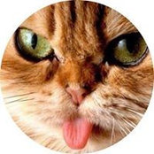 Cindy Cavossa's photo