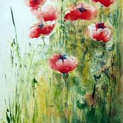 Duaa Shaker's photo