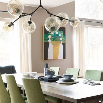 San Ramon Modern Rambler