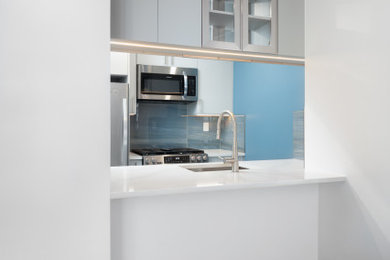 Kitchen - contemporary kitchen idea in New York