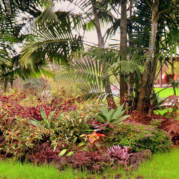 Hawaii Paradise Found Gardens
