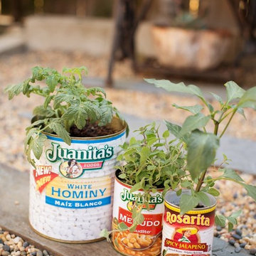 Dish Gardening Ideas