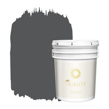 Interior Paint Colors