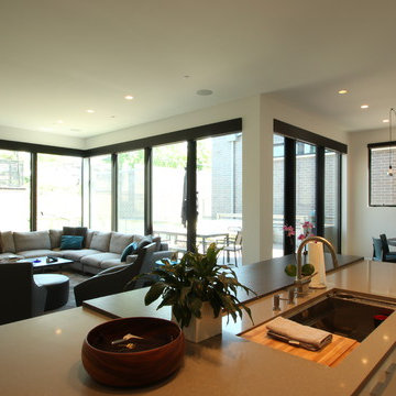 Chicago Bucktown Modern Masterpiece