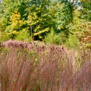 Native Meadow