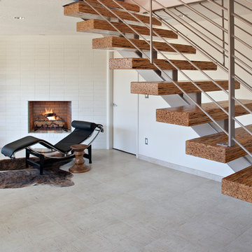 Modern Living Room