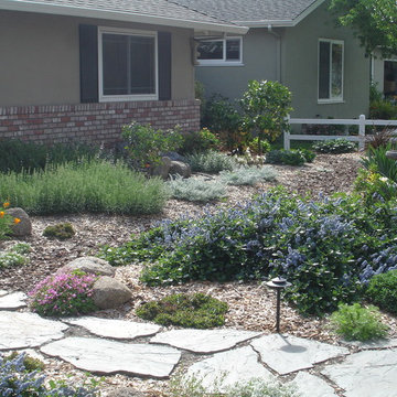Lawn Removal | Willow Glen