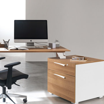 Office Collections