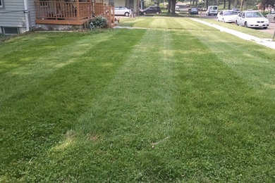 Mowing pictures- stripes in lawns