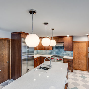 Modern Transitional Champaign