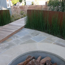 horsetail reed