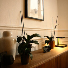 deco
