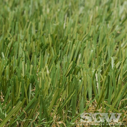 Diamond Light Fescue - Products