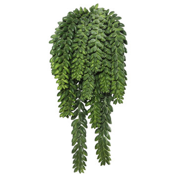 Vickerman 13" Plastic Artificial Green Donkey Tail Bush.