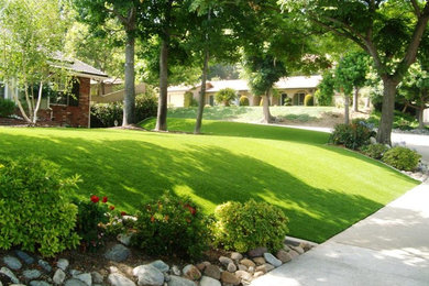 Photo of a traditional landscaping in San Diego.