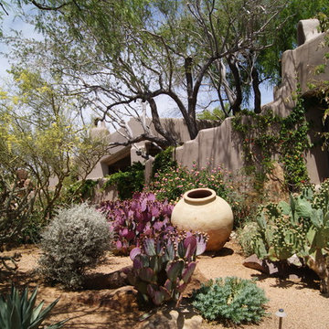 Desert LandscapesPeggy De La Garza xTrademark Landscape Inc. x