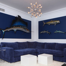Ways to display our fish
