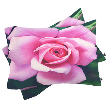Deny Designs Allyson Johnson Darling Pink Rose Pillow Shams, Queen