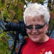 Marilyn Magnuson's photo