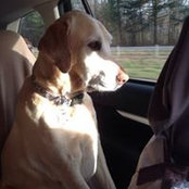Karin Baker's photo