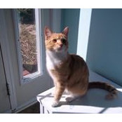 Patsy Allain's photo