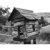 Brenda Lowe's photo