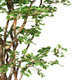 Dalmarko Designs Dalmarko Designs
