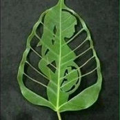 Foto von Flo Voulk
