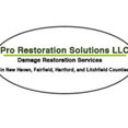 Pro Restoration Solutions's profile photo