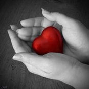 Lise Laberge's photo
