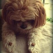 Photo de Debbie O'Fung