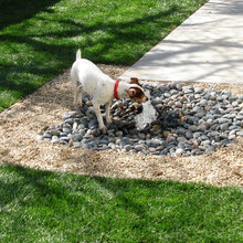 Garden Features
