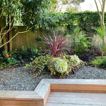 Cordyline and Fuschia Pot