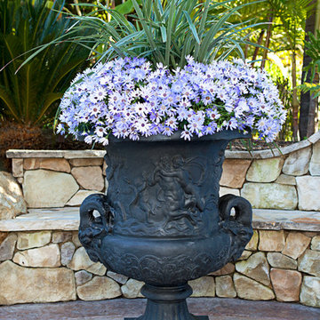 Ram Head Urn