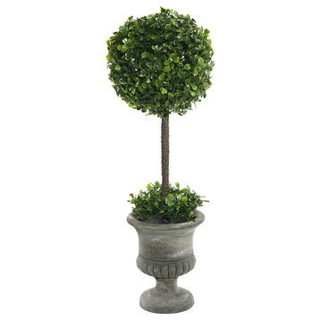 21" Boxwood Topiary In Container