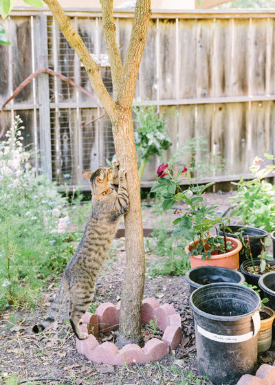 Классический  by Lauren Edith Andersen, Photographer