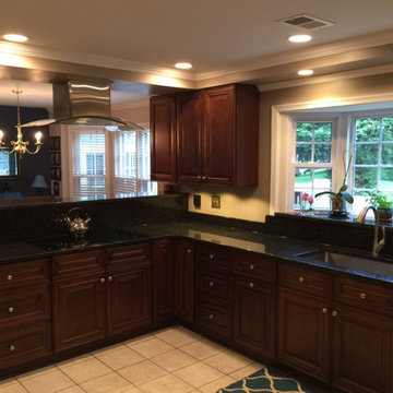 Open Concept Chefs Kitchen