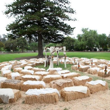 Hay & Straw