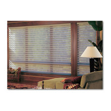 Motorized Blinds