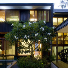 Front Feature Tree
