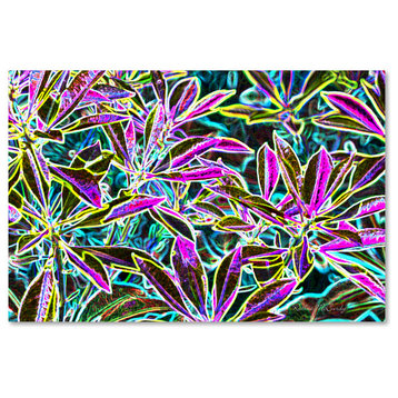 'Tropical Neon' Canvas Art by Kathie McCurdy