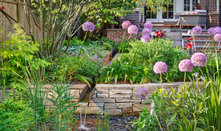 12 Beautiful Ways to Manage Excess Water in Your Yard